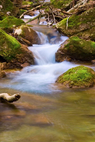Spring river — Stock Photo, Image