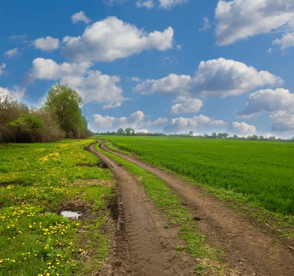 Paesaggio di primavera — Foto Stock