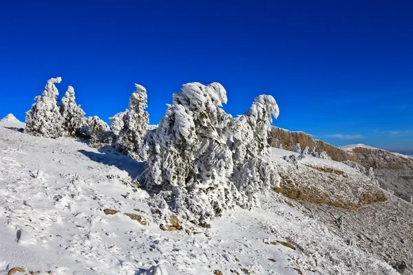Montañas de invierno —  Fotos de Stock