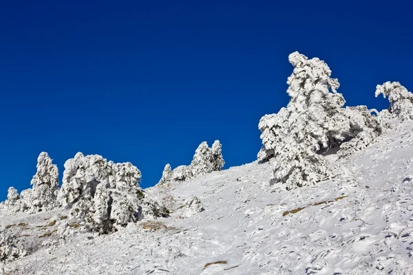 Montagne innevate invernali sotto un cielo blu — Foto Stock