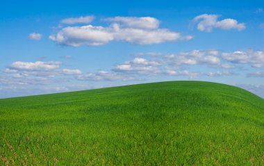 Yeşil bahar hills panorama