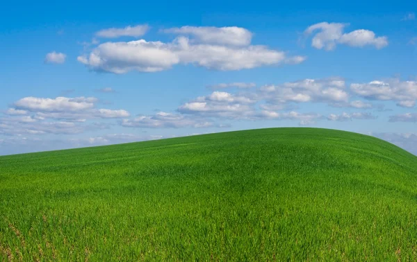 Verdi colline primaverili panorama — Foto Stock