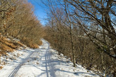 Kış ve yol