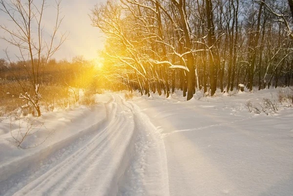 Зимняя дорога — стоковое фото