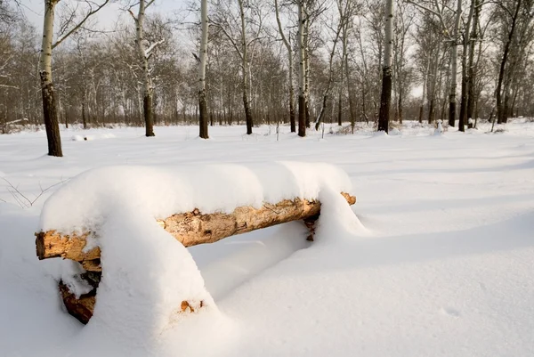 在冬天森林里的长凳 — 图库照片