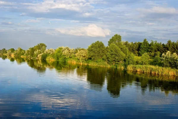 Râul vară — Fotografie, imagine de stoc