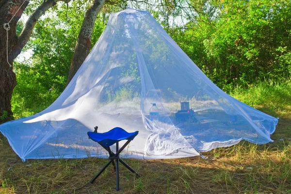 Myggor tält i skogen — Stockfoto