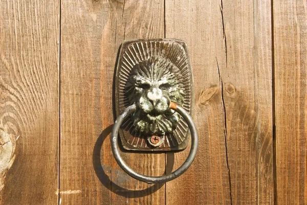 La manija de la puerta se parece a la cabeza de un león — Foto de Stock