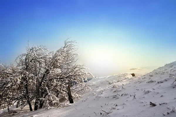 Zimowy wschód słońca — Zdjęcie stockowe