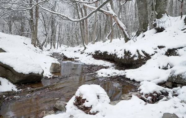 Arroyo en el bosque de invierno — Foto de Stock