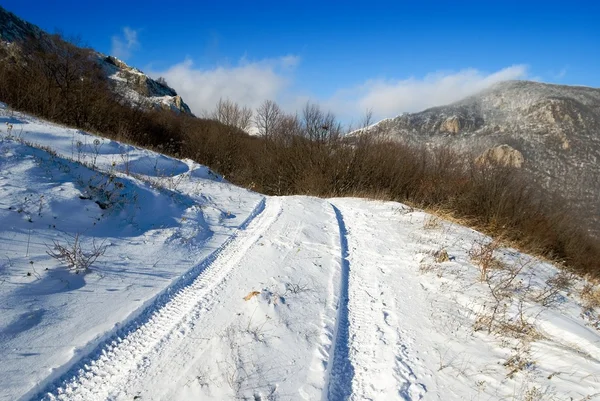 Winter and road — Stock Photo, Image
