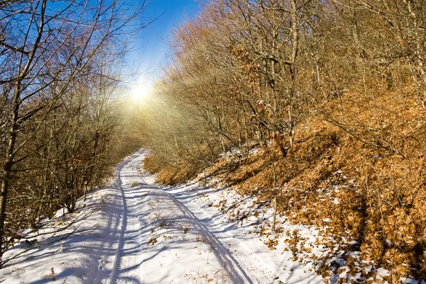 Sparkle sun above a winter road — Stock Photo, Image