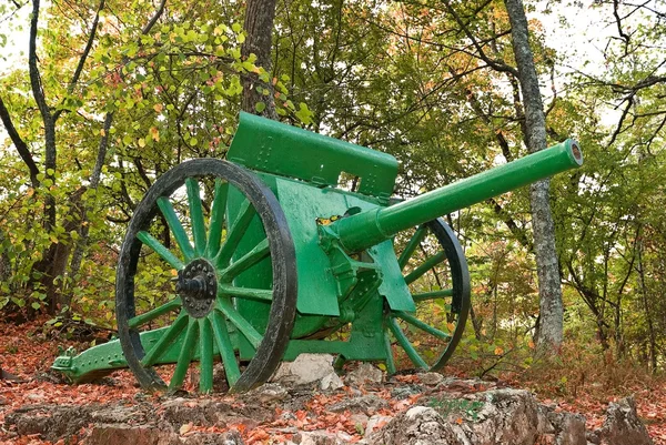 Old gun in a forest — Stok fotoğraf