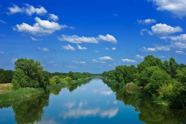 Hermoso río de verano dejando lejos — Foto de Stock