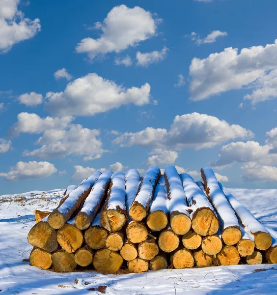 Heap of logs in a snow