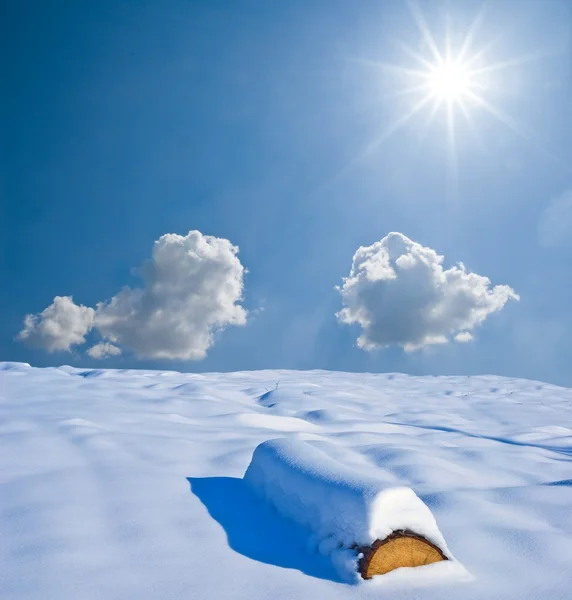 Tronco de madera en una llanura invernal cubierta de nieve — Foto de Stock