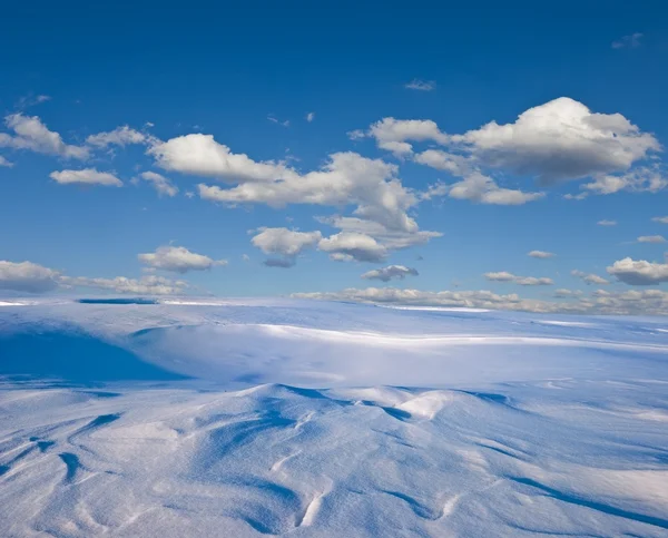 Panorama planície inverno — Fotografia de Stock