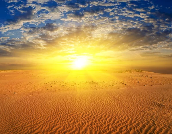 Majestuoso atardecer en un desierto de arena —  Fotos de Stock