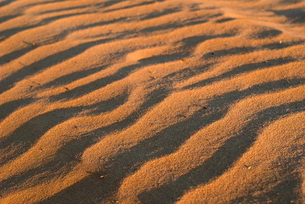 Zbliżenie piaszczyste wydmy w tle — Zdjęcie stockowe