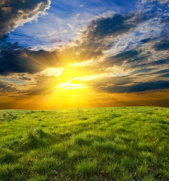Dramatiska solnedgången bland en gröna fält — Stockfoto