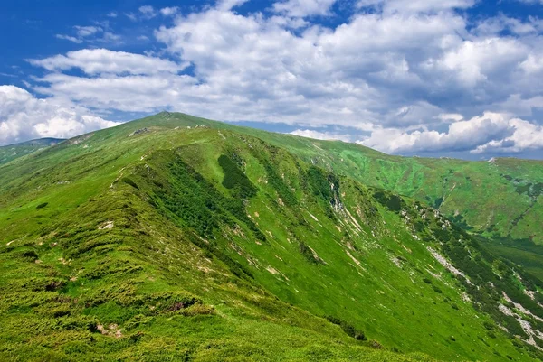 Paisaje verde montaña —  Fotos de Stock