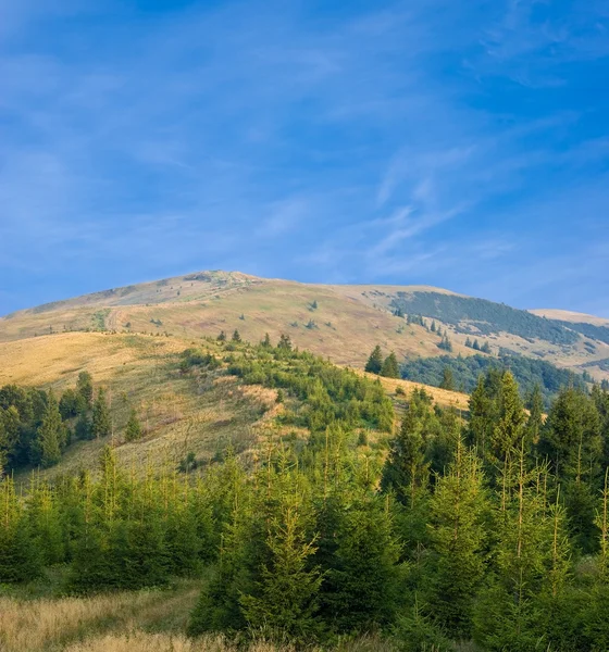 stock image Summer mountain