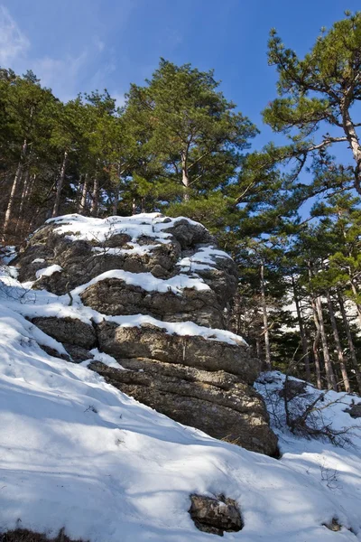 Stock image Spring mountains in a snow