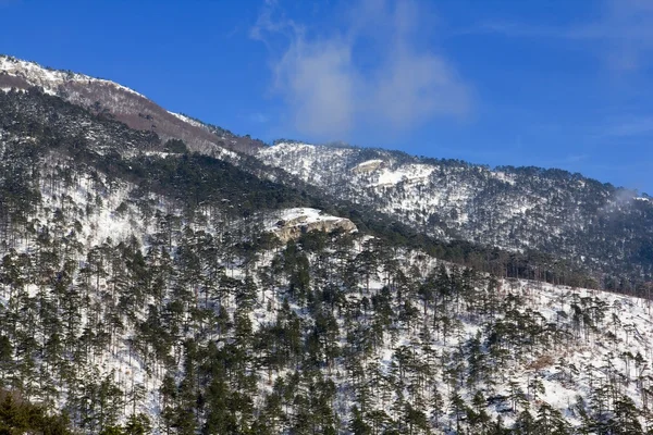 Pista di montagna in una neve — Foto Stock