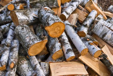 Heap of birch firewoods clipart