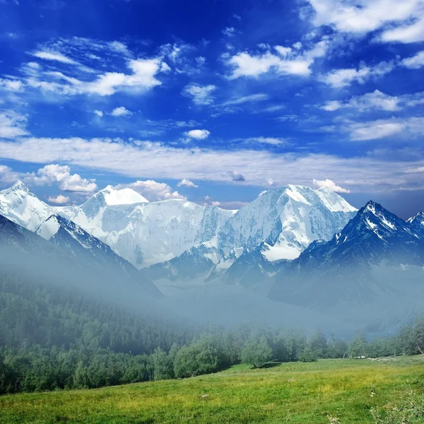 Montagne nebbiose — Foto Stock