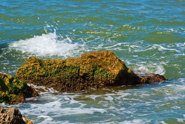 Stone in a sea — Stock Photo, Image