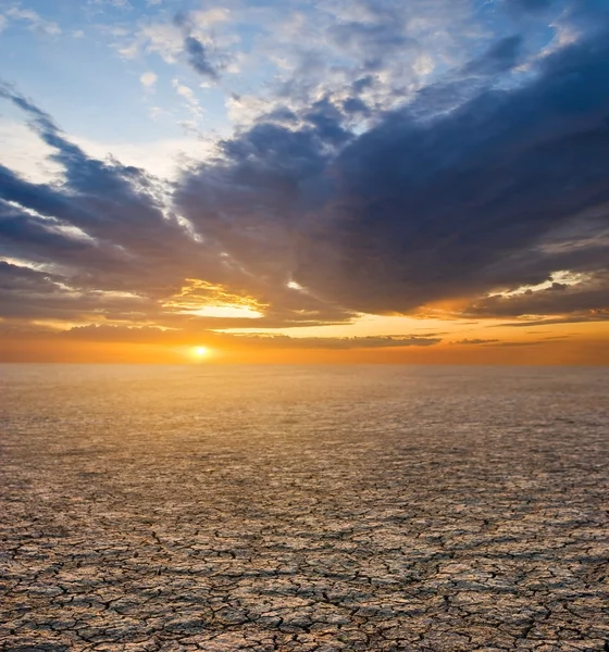 Dry earth at the sunset — Stock Photo, Image