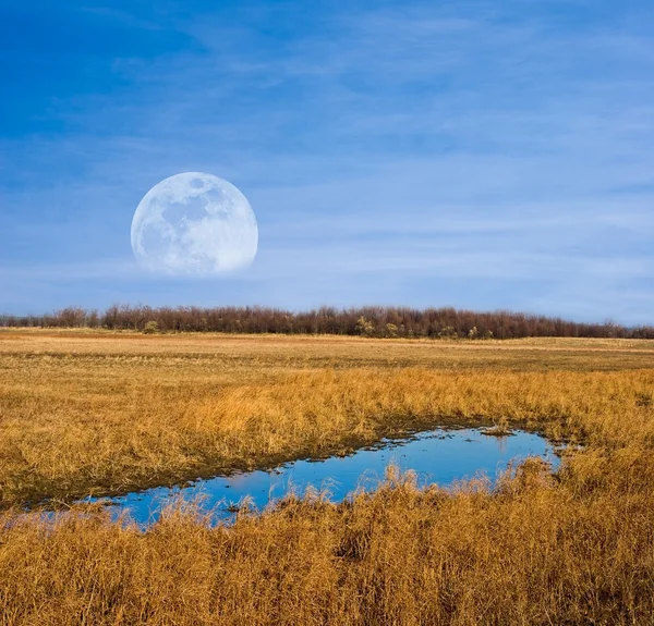 草原にそびえる巨大な月 — ストック写真