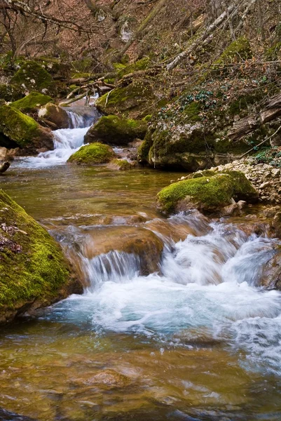 Brook in a mountain canyon — Stock Photo, Image