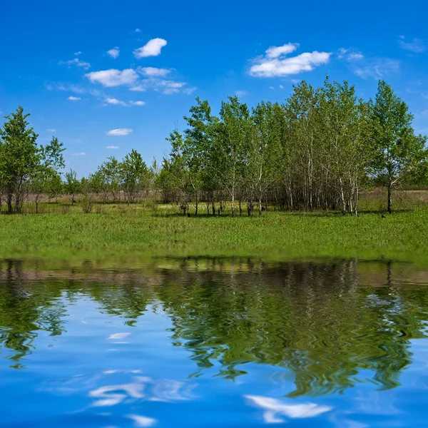 Göle yansıyan yeşil ağaçlık — Stok fotoğraf