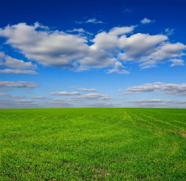 Lente rurale landschap — Stockfoto