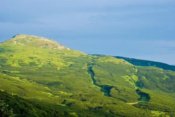 Montagna verde — Foto Stock