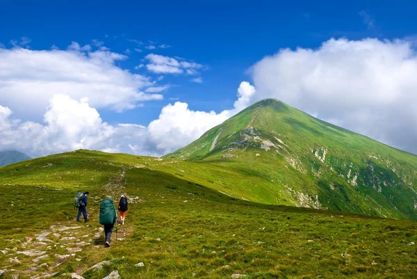 Escursionisti in una montagna verde — Foto Stock