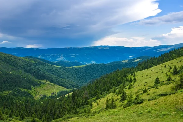 Green mountain valley — Zdjęcie stockowe