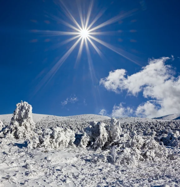 Kış manzara dondurulmuş — Stok fotoğraf