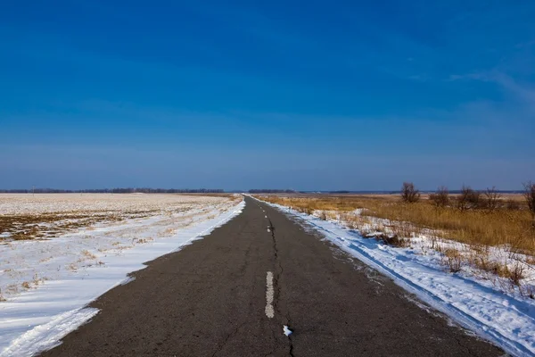 Strada di asfalto tra campi invernali — Foto Stock