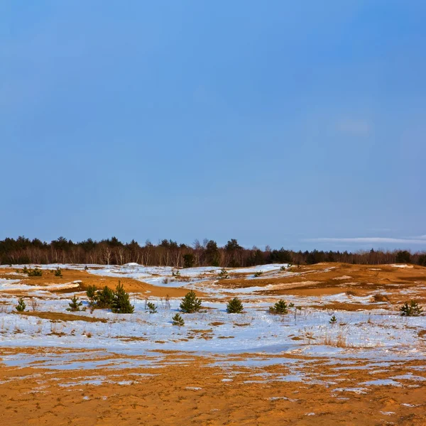 Winter sandy desert — Stock Photo, Image