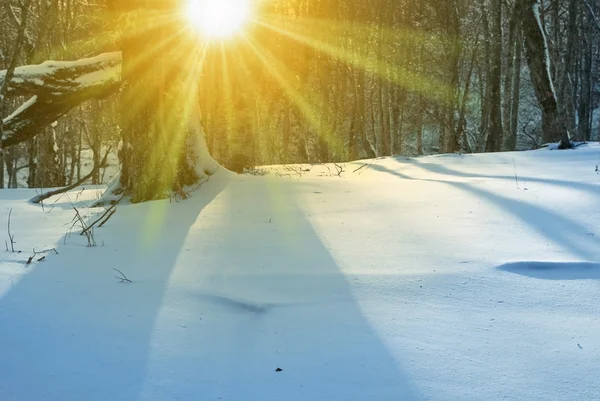 Puesta de sol invierno —  Fotos de Stock