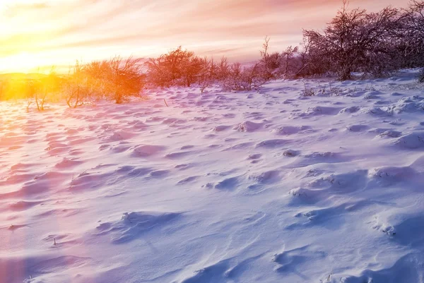 Snowbound vlakte in de avond — Stockfoto