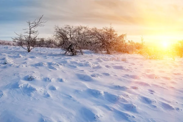 Coucher de soleil d'hiver — Photo