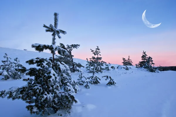 Noite de inverno — Fotografia de Stock