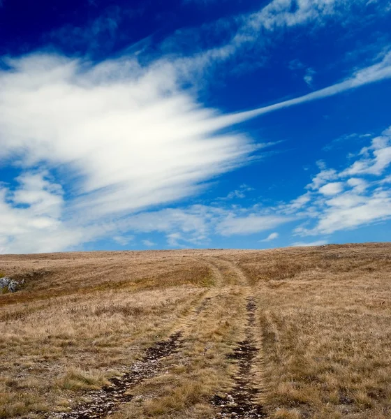 Road in a steppe — Stock Photo, Image