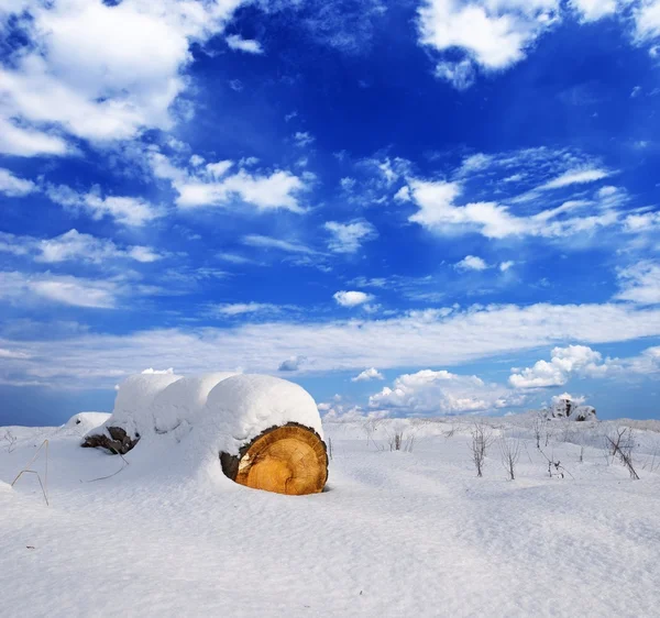 積雪の平野にログインします。 — ストック写真