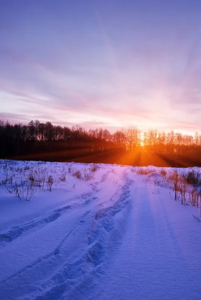Sonnenuntergang in einer schneebedeckten Ebene — Stockfoto