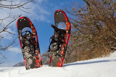 Pair of snowshoe in a snow clipart